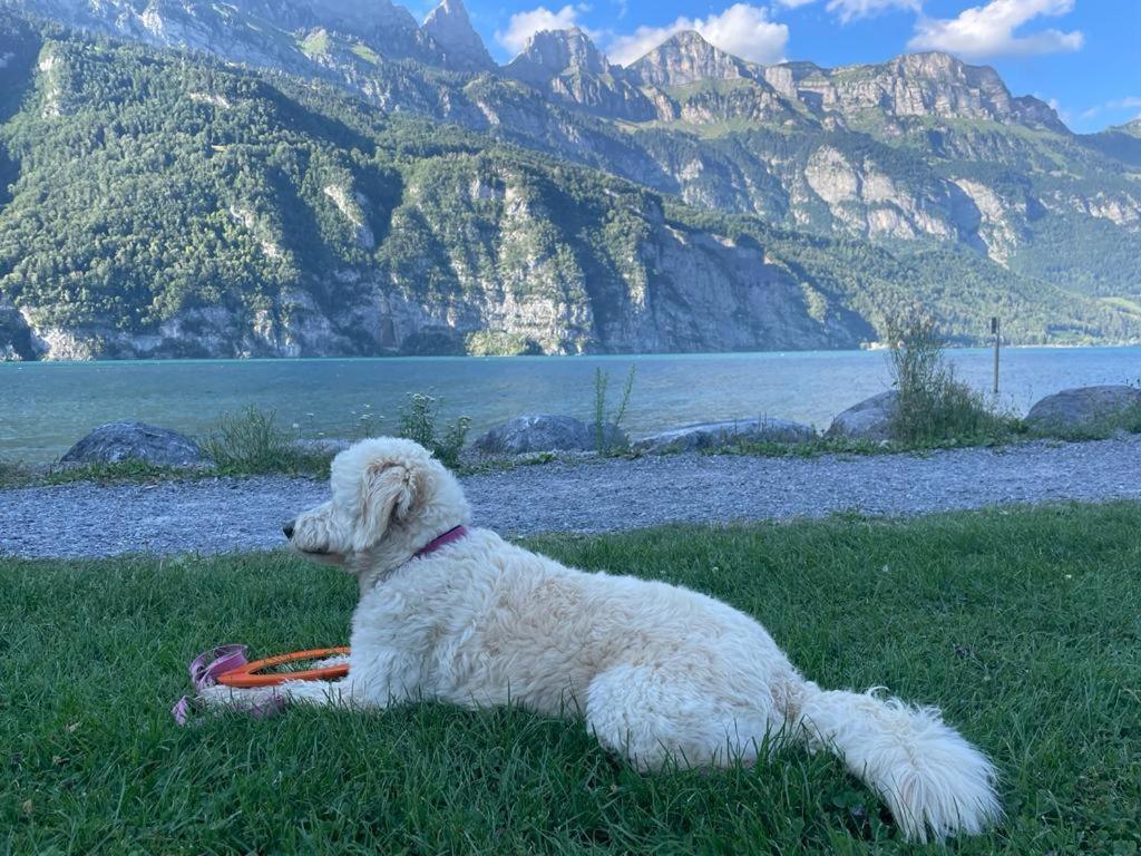 Doodle'S Amazing Chalet -Walensee - Flumserberg - Churfirsten - Heidiland - Pool - Sauna Mols Eksteriør bilde
